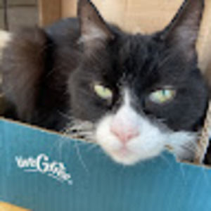 Meet your Posher, Robin